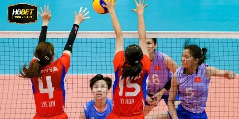 Money live bóng chuyền