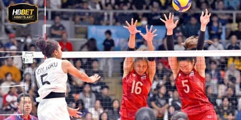 Giao diện money live bóng chuyền trực tiếp rõ ràng dễ theo dõi