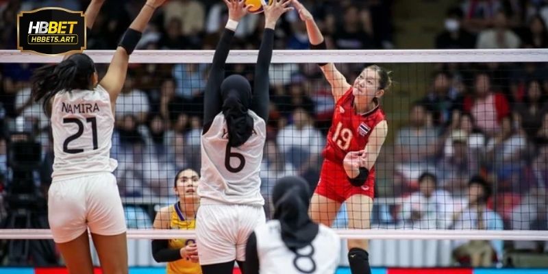 Kinh nghiệm phân tích trận đấu từ money live bóng chuyền