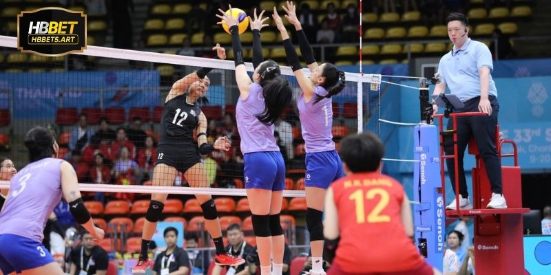 Ưu điểm nổi bật money live bóng chuyền hỗ trợ dự đoán chính xác