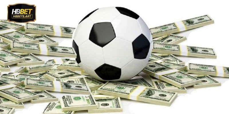 Chiến thuật và kinh nghiệm giúp cược xiên HBBET hiệu quả